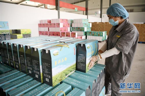 数字桥梁连山海 闽宁携手以信息技术咨询服务赋能产业园区脱贫振兴